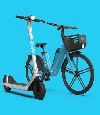 Bird Scooters