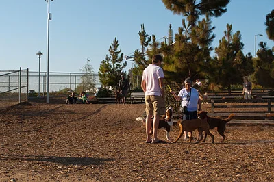 Santa Monica Farmers Market